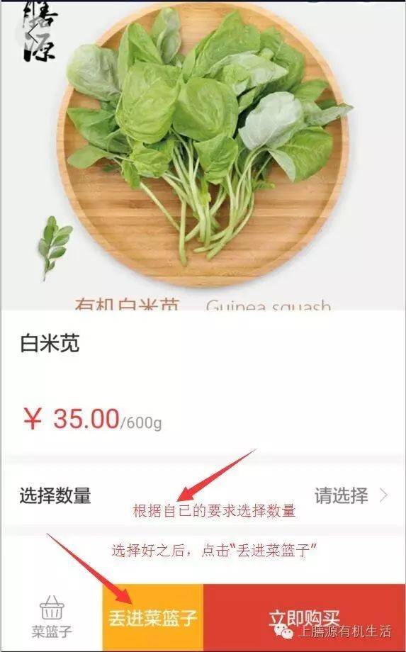 手机点菜怎么弄_手机点菜软件哪个好_手机点菜