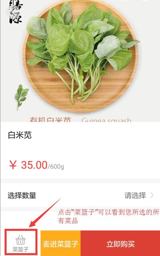 手机点菜软件哪个好_手机点菜_手机点菜怎么弄